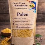 POLEN TANE