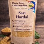 SARI HARDAL