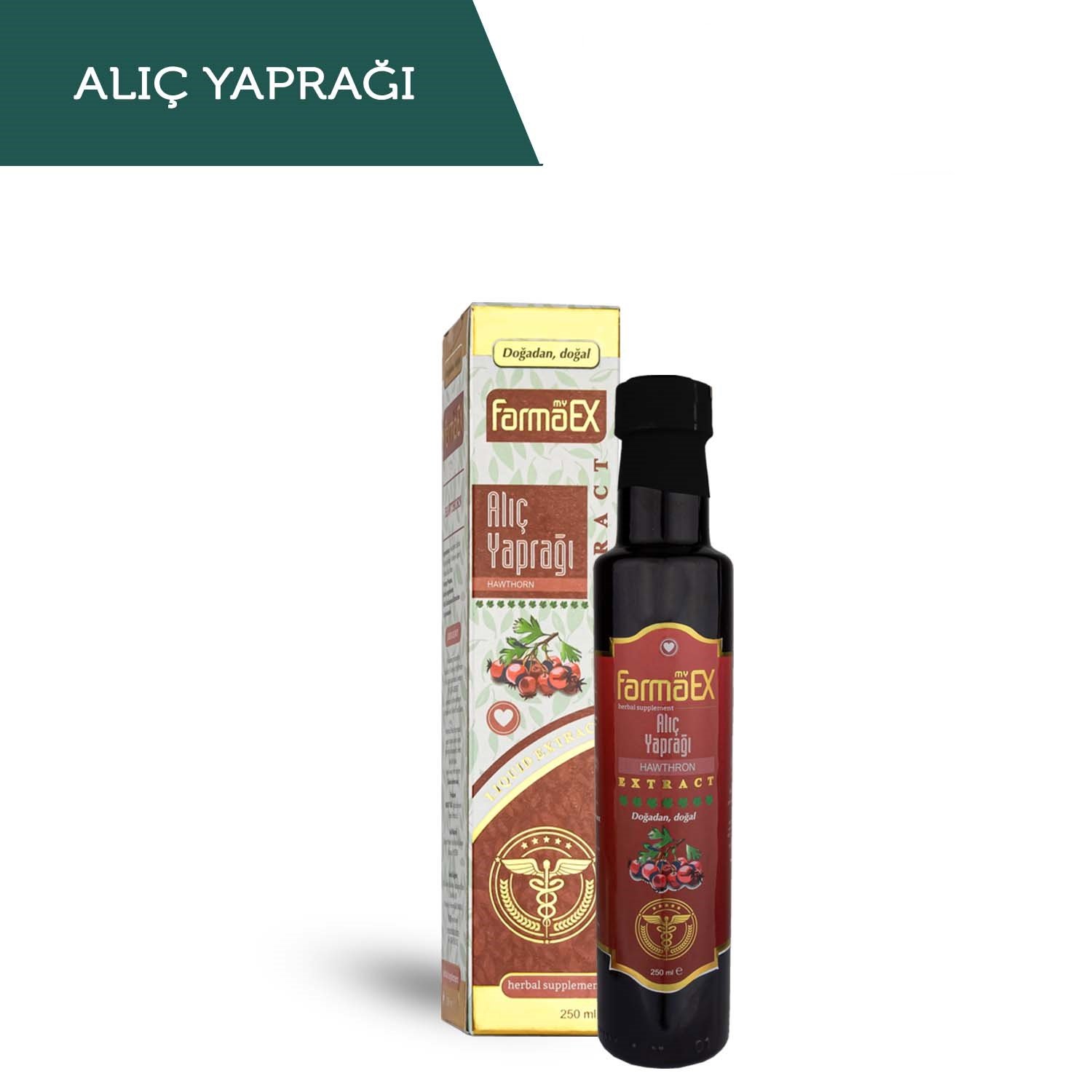 alic-yapragi-ve-ciceginin-.jpg ALIÇ YAPRAĞI EKSTRAKT - Görsel 1