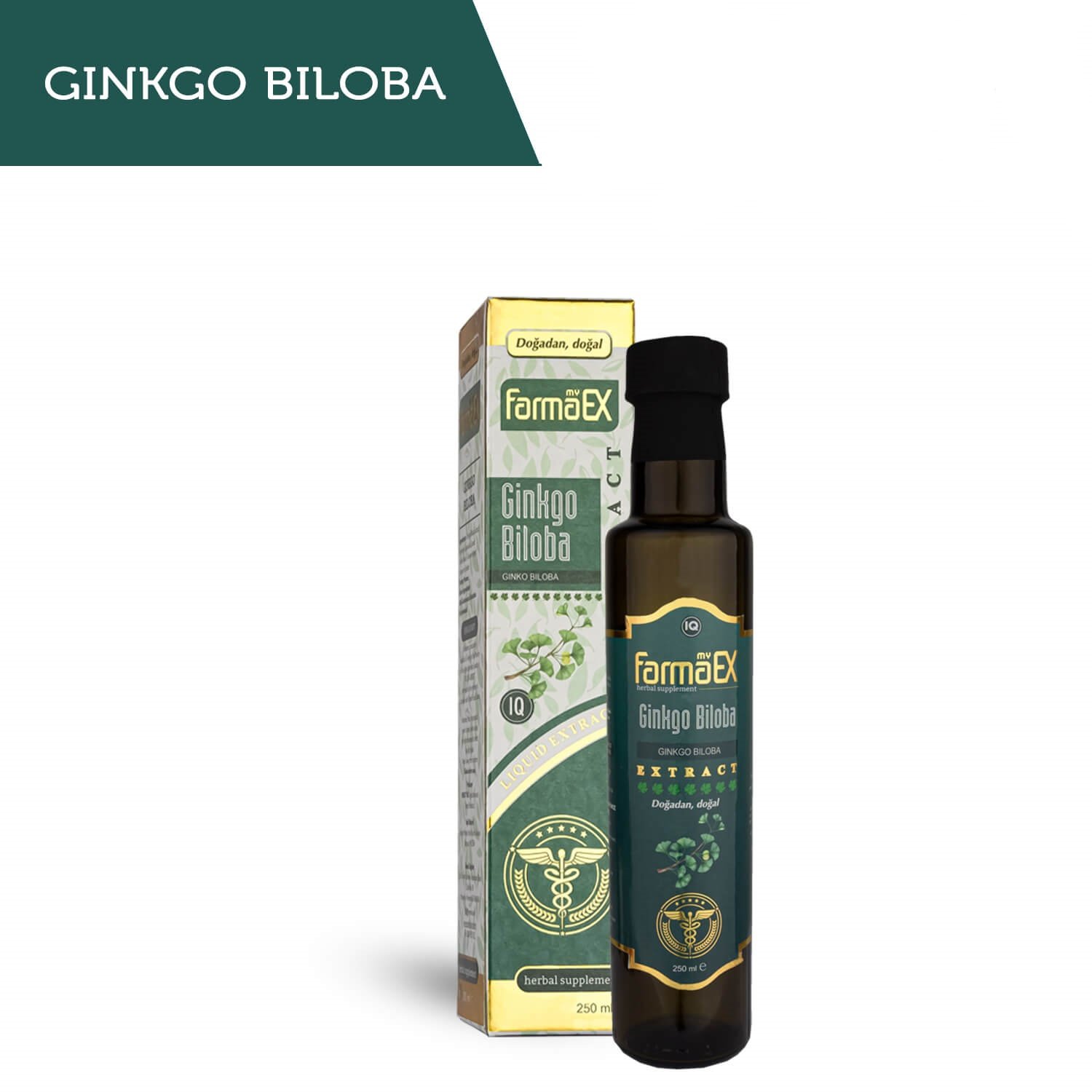 ginkgo-biloba_LI.jpg GİNKO BİLOBA EKSTRAKT - Görsel 1